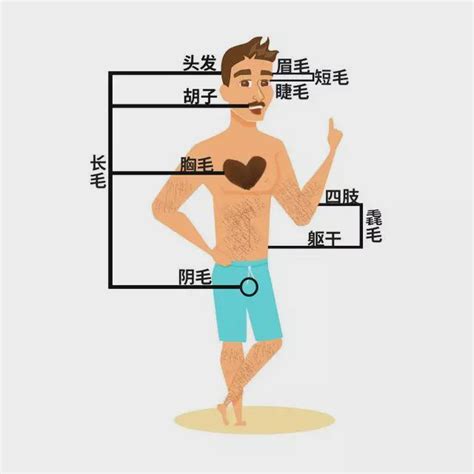 左手 長白毛|身上有一根毛特別長，是長壽象徵，還是癌變前兆？